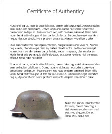 First model Waffen-SS helmet cover, plane tree pattern - photo 5